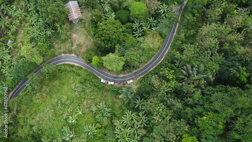 An aerial view captured by a drone of a winding asphalt road surrounded by lush green trees. The beauty of the greenery is highlighted by the winding road, providing a serene and peaceful atmosphere