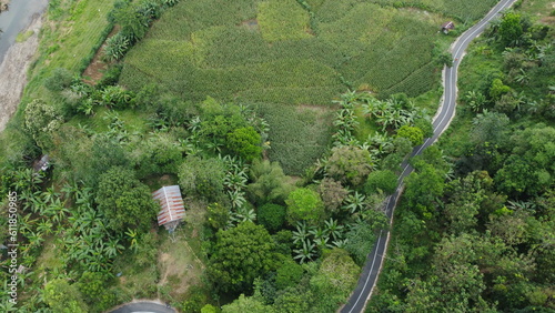 A captivating aerial photo captured using a drone, showcasing a bird's eye view of lush greenery and terrain, with an asphalt road visible on the right side.