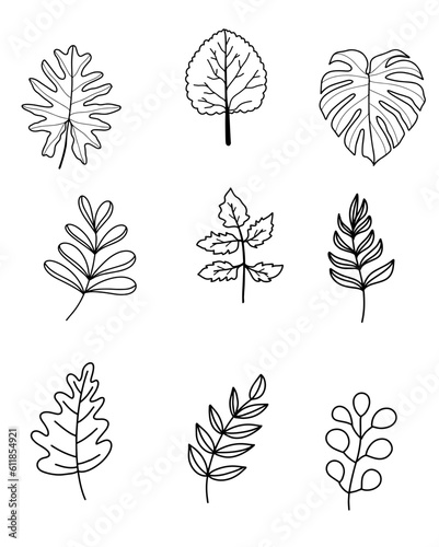Hand drawn leaf line art collection.Vector illustration.