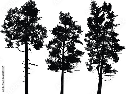 three large black pine silhouettes on white