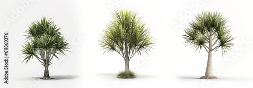 Collection of yucca tree isolated on white background, Generative AI photo