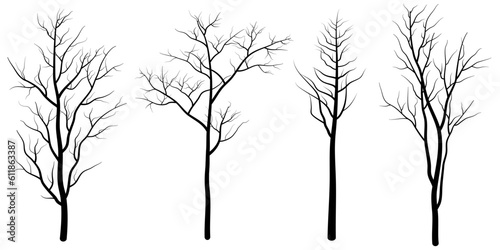set of deciduous tree silhouette