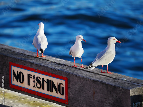 No fishing sign