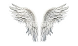 Angel wings isolated on white,  png element, generative ai.