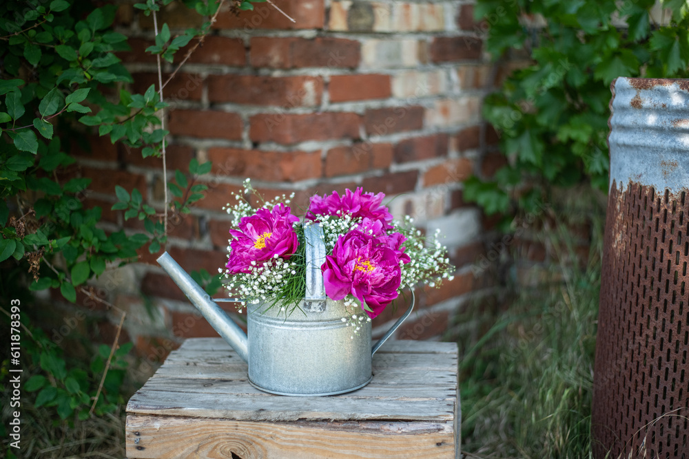 Blumenstrauß mit pinken Pfingstrosen und Schleierkraut, frische Blumen dekoriert in einer alten Vintage Gießkanne aus Metall, Landhaus Dekoration, Bauerngarten Blumenstrauß mit pinken Pfingstrosen und Schleierkraut, frische Blumen dekoriert in einer alten Vintage Gießkanne aus Metall, Landhaus Dekoration, Bauerngarten