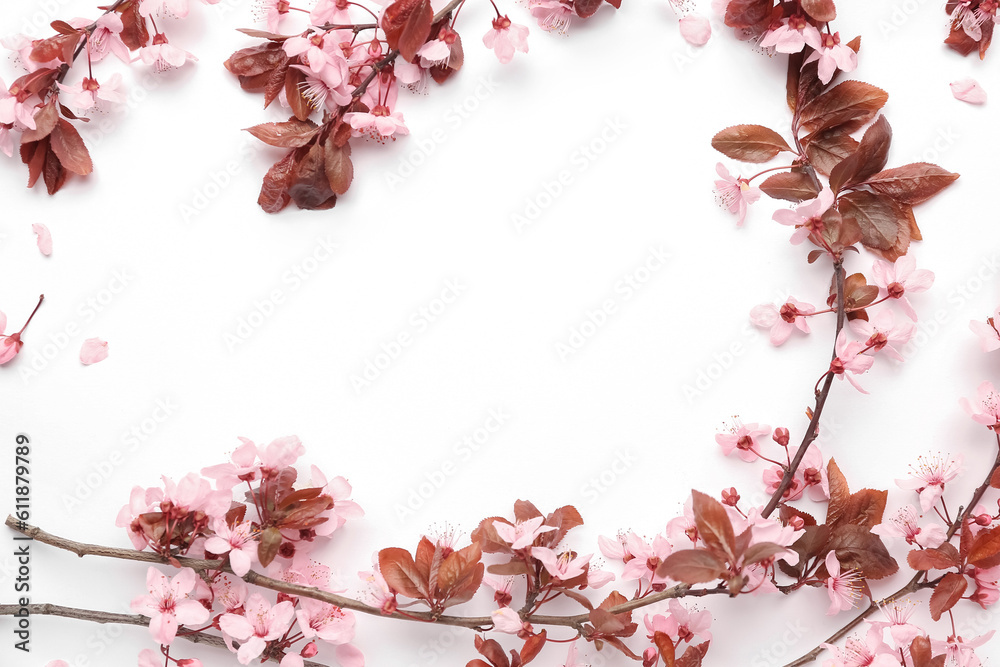 Fototapeta premium Frame made of blooming branches with pink flowers on white background