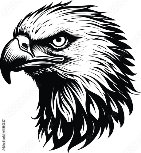 eagle vector illustration design