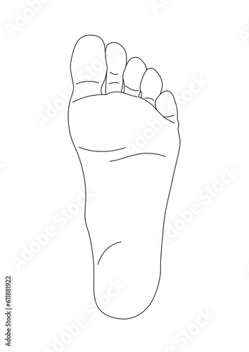人体 パーツ 足の裏 線画  肌 爪  片足 透過 png 背景透明