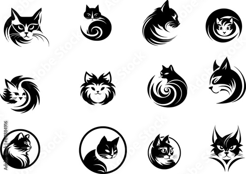 set of black and white cat