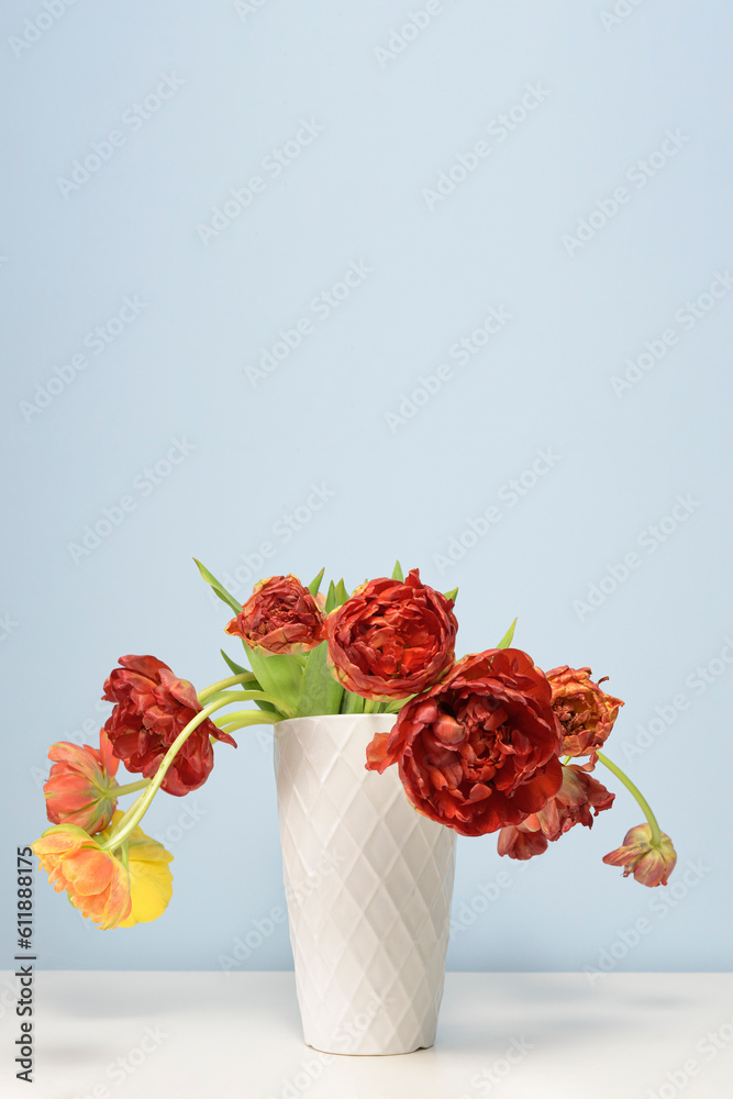 Fototapeta premium Withered yellow and red tulp - peonies in a white ceramic vase on a light blue background. Vertical