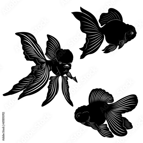 set of fish