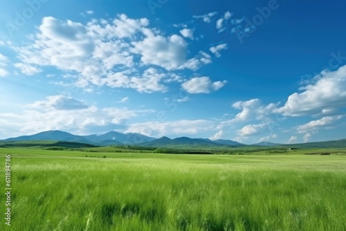 Serene Panoramic Landscape  Green Grass Field  Blue Sky  and Majestic Mountains