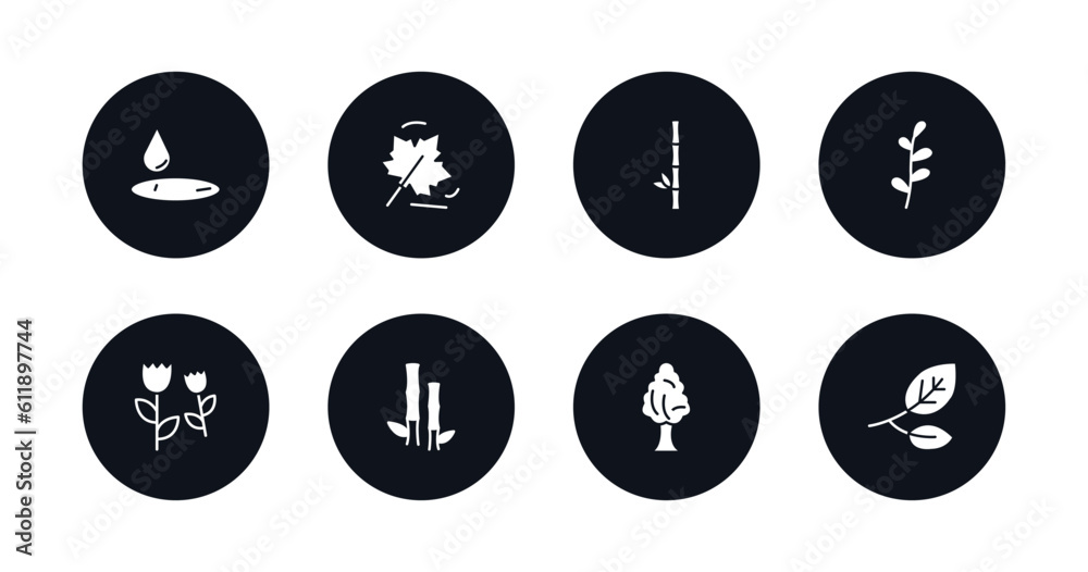 symbol for mobile filled icons set. filled icons such as wate, autumn leaves, bamboo branches, prairie, pair of flowers, bamboo plant from japan, black ash tree, branches with leaves vector. symbol for mobile filled icons set. filled icons such as wate, autumn leaves, bamboo branches, prairie, pair of flowers, bamboo plant from japan, black ash tree, branches with leaves vector.