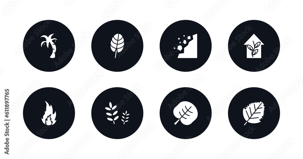 symbol for mobile filled icons set. filled icons such as coconut tree standing, cordate, falling debris, indoor, burning flames, grains, reniform, birch leaf vector. symbol for mobile filled icons set. filled icons such as coconut tree standing, cordate, falling debris, indoor, burning flames, grains, reniform, birch leaf vector.