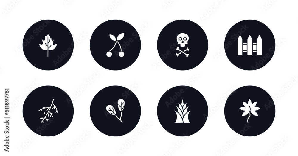 symbol for mobile filled icons set. filled icons such as hawthorn leaf, cherry leaf, death, fences, larch leaf, obovate, yucca, liquidambar vector. symbol for mobile filled icons set. filled icons such as hawthorn leaf, cherry leaf, death, fences, larch leaf, obovate, yucca, liquidambar vector.