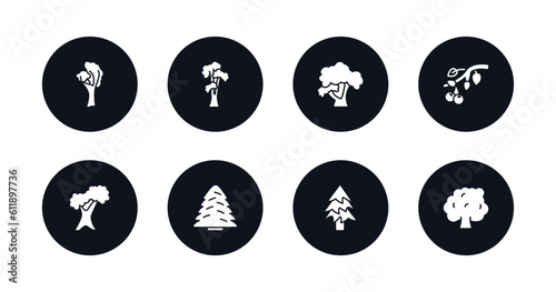 symbol for mobile filled icons set. filled icons such as yellow birch tree, shagbark hickory tree, honey-locust tree, black cherry northern red oak white spruce balsam fir hawthorn vector.