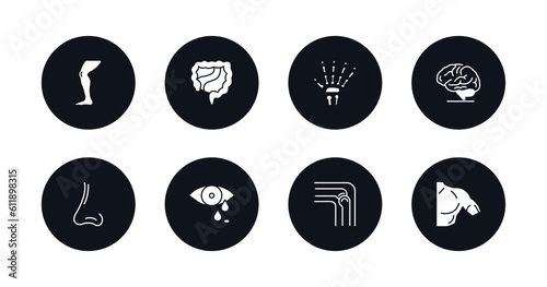 symbol for mobile filled icons set. filled icons such as men leg, large intestine, human hand bones, brain body organ, male e of a line, sweat or tear drop, bones joint, men shoulder vector.
