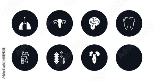 symbol for mobile filled icons set. filled icons such as respiratory system, human uterus, tonsil, human teeth, human spine, three bacteria, foot, excretory system vector.