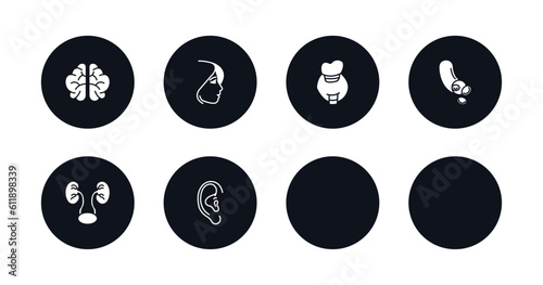 symbol for mobile filled icons set. filled icons such as bosom, brain upper view, face of a woman, ball of the knee, thyroid, blood vessel, two kidneys, human ear vector.