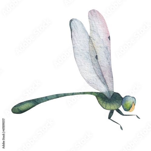 green dragonfly with transparent wings isolated on white background watercolor illustration. for your postcards, labels, posters, stickers