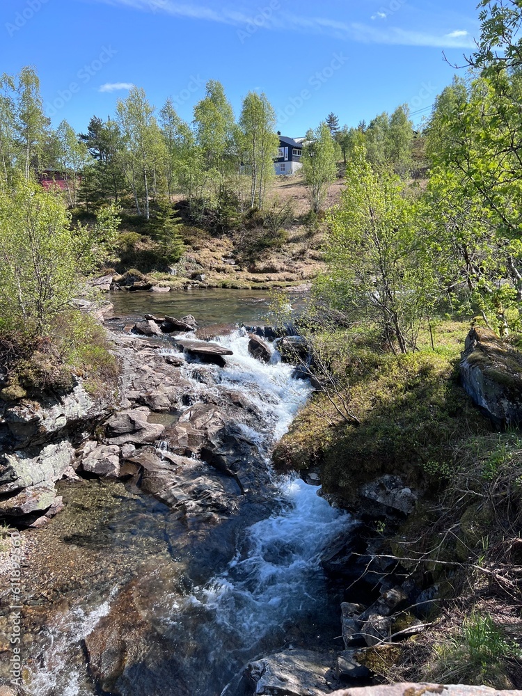 Kvamskogen Mødalseter Hiking Trial Norway Kvamskogen Mødalseter Hiking Trial Norway
