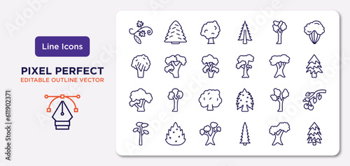nature outline icons set. thin line icons such as cucumber tree tree, american elm tree, black locust honey-locust eastern cottonwood eastern white pine northern red oak red pine vector.