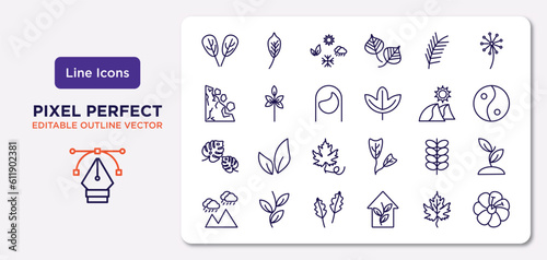 nature outline icons set. thin line icons such as plum leaf, pine leaf, hair style, leaf monstera, briar pedunculate, gooseberry hibiscus vector.