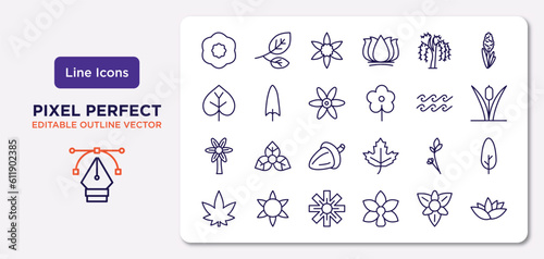 nature outline icons set. thin line icons such as petunia, willow,  , hypericum, lavender, wedelia, gladiolus, nymphea vector.