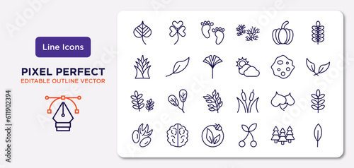 nature outline icons set. thin line icons such as linden leaf, farming, ginkgo, grains, cercis leaf, natural energy, woods, magnolia leaf vector. © IconArt