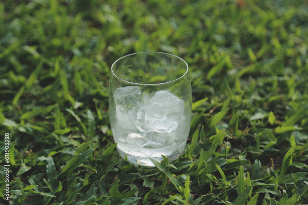 a glass of water with ice on nature background... a glass of water with ice on nature background...