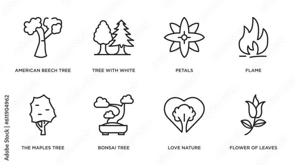 nature outline icons set. thin line icons such as american beech tree, tree with white foliage, petals, flame, the maples tree, bonsai love nature, flower of leaves vector.