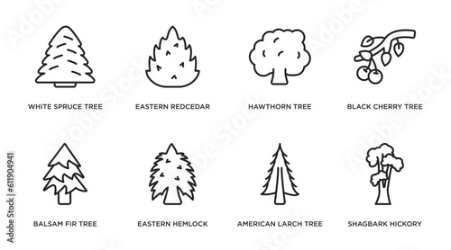 nature outline icons set. thin line icons such as white spruce tree, eastern redcedar tree, hawthorn tree, black cherry balsam fir eastern hemlock american larch shagbark hickory vector.