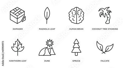 nature outline icons set. thin line icons such as damaged, magnolia leaf, human brian, coconut tree standing, hawthorn leaf, dune, spruce, falcate vector.