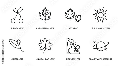 nature outline icons set. thin line icons such as cherry leaf, gooseberry leaf, dry leaf, shining sun with rays, lanceolate, liquidambar mountain pse, planet with satellite vector. photo