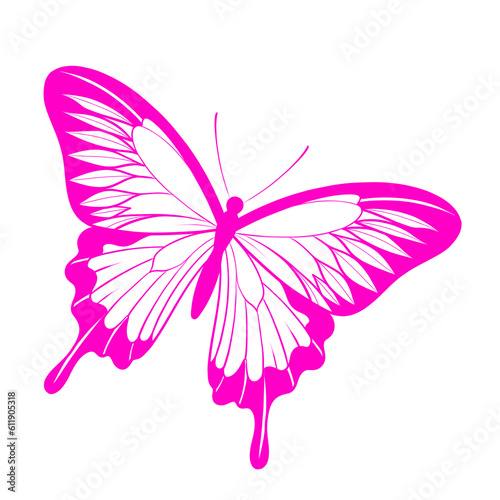 butterfly