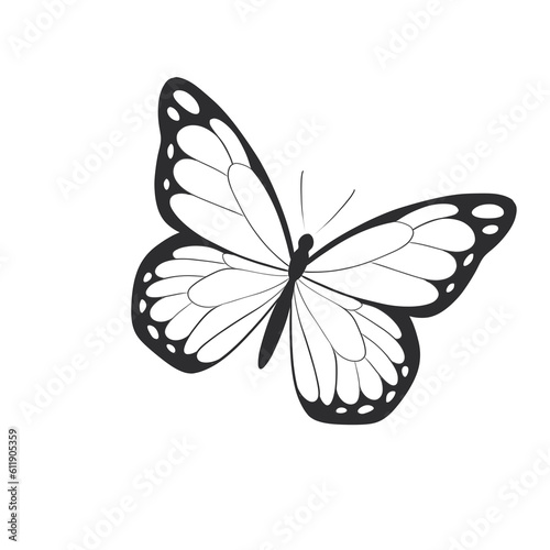 butterfly