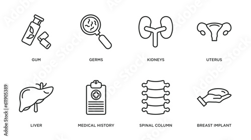 medical outline icons set. thin line icons such as gum, germs, kidneys, uterus, liver, medical history, spinal column, breast implant vector.