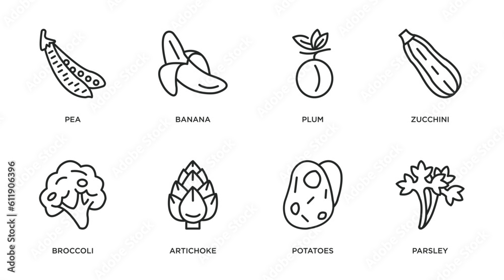 fruits and vegetables outline icons set. thin line icons such as pea, banana, plum, zucchini, broccoli, artichoke, potatoes, parsley vector.