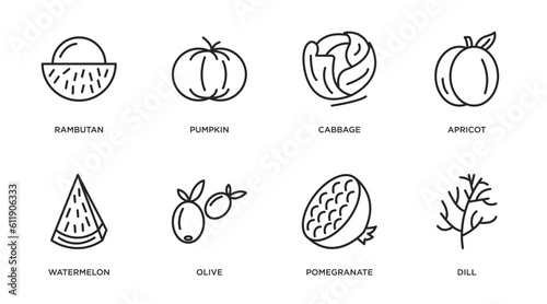 fruits and vegetables outline icons set. thin line icons such as rambutan, pumpkin, cabbage, apricot, watermelon, olive, pomegranate, dill vector.