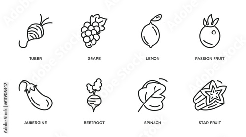 fruits and vegetables outline icons set. thin line icons such as tuber, grape, lemon, passion fruit, aubergine, beetroot, spinach, star fruit vector. © IconArt