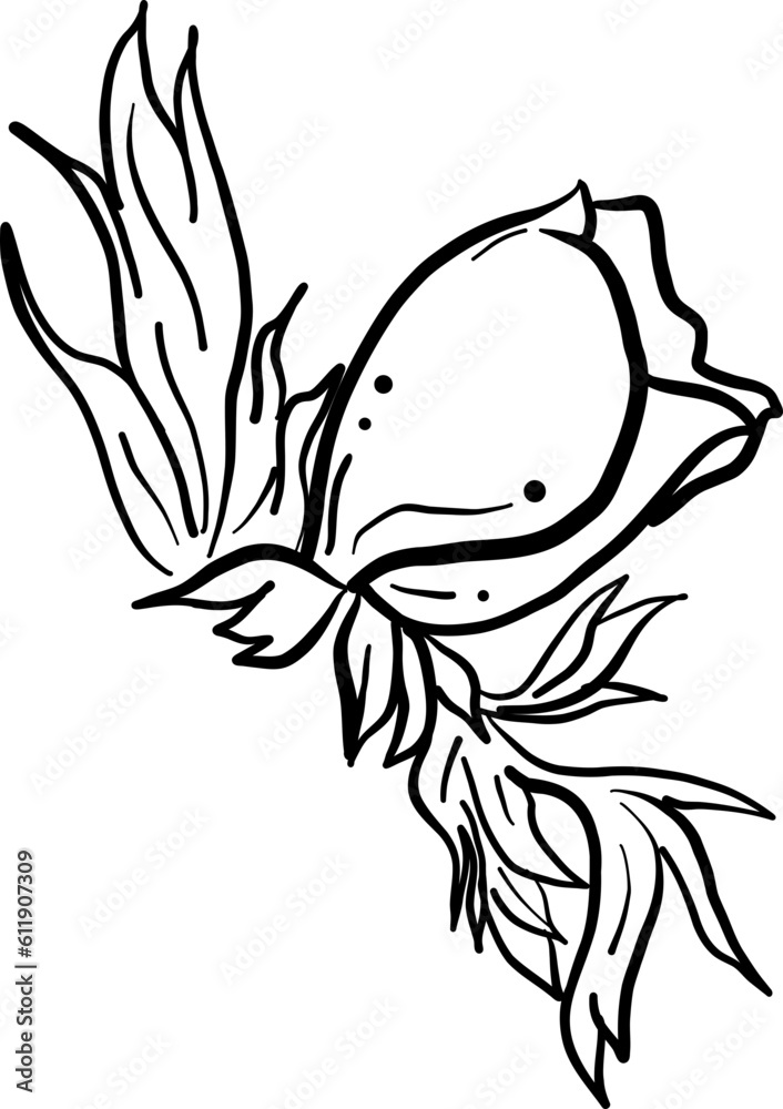 Obraz premium hand drawn sketch of a flower