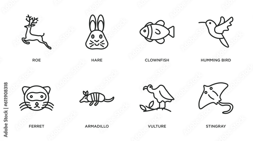 animals outline icons set. thin line icons such as roe, hare, clownfish, humming bird, ferret, armadillo, vulture, stingray vector. animals outline icons set. thin line icons such as roe, hare, clownfish, humming bird, ferret, armadillo, vulture, stingray vector.