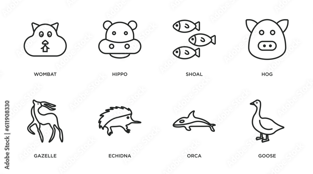animals outline icons set. thin line icons such as wombat, hippo, shoal, hog, gazelle, echidna, orca, goose vector.