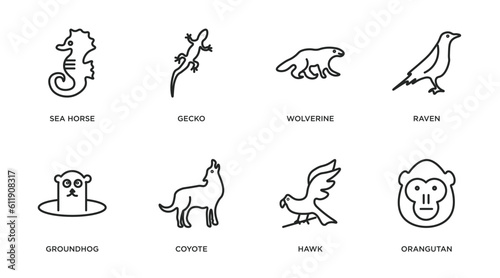 animals outline icons set. thin line icons such as sea horse, gecko, wolverine, raven, groundhog, coyote, hawk, orangutan vector.