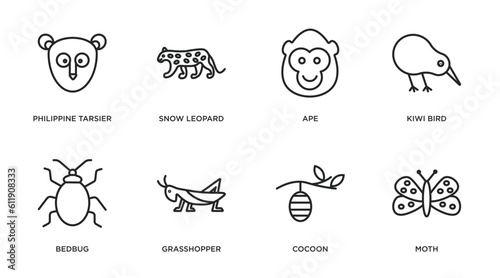 animals outline icons set. thin line icons such as philippine tarsier, snow leopard, ape, kiwi bird, bedbug, grasshopper, cocoon, moth vector.