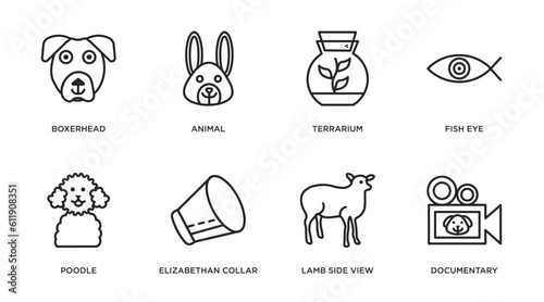 animals outline icons set. thin line icons such as boxerhead, animal, terrarium, fish eye, poodle, elizabethan collar, lamb side view, documentary vector.