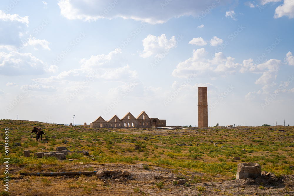 Ruins of the ancient city of Harran in Mesopotamia. Old astronomy tower.