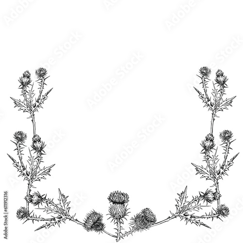 Ink hand drawn vector illustration. Scotland symbols. Scottish thistle flower, flowerhead, stem, thorns and leaves plant border. Square frame. Design for tourism, travel, brochure, booklet, print