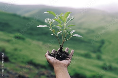 plant in hand