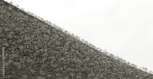 black and white, high contrast, diagonal hillside with negative space